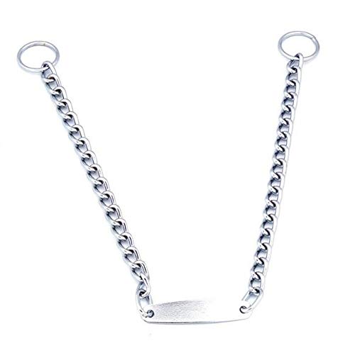 首輪 名札 IDタグ 迷子札 犬用 ステンレスチェーン ネームプレート チョークチェーン 散歩 お出かけ ド..