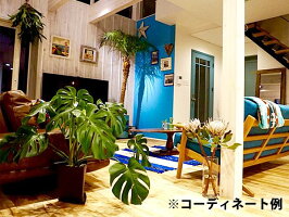 楽天市場 モンステラ 約100cm 7号 観葉植物 ハワイアン 新築祝い 開店祝い 鉢植え シンボルツリー 緑 ドライガーデン グリーン おしゃれ カリフォルニア 西海岸風 インテリア アメリカン雑貨 ラヴィアンローズ アメリカン雑貨 楽天市場 モンステラ 約100cm 7号 観葉植物 ハワイアン 新築祝い 開店祝い 鉢植え シンボルツリー 緑 ドライガーデン グリーン おしゃれ カリフォルニア 西海岸風 インテリア アメリカン雑貨 ラヴィアンローズ アメリカン雑貨