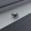 【ネコポス送料無料】 ance SV925 Center Double Line Ring