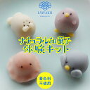 ナチュラル和菓子体験キット【160g】【水族館和菓子】 着色料不使用 ねりきり 手作りキット 和菓子 菓子 ギフト 和菓子手作り DIY 誕生日プレゼント 水族...