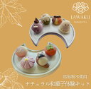 ナチュラル和菓子体験キット 秋和菓子 ハロウィン ねりきり 手作り 無添加 ギフト おうち時間 子どもお菓子