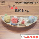 【やまぐちECエール便】ナチュラル和菓子体験キット 夏旅セット【160g】 夏休み特別版 着色料不使用 ねりきり手作りキット 無添加 自由研究 和菓子ギフト ネ...
