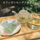 【やまぐちECエール便】 モリンガ レモングラス 国産 無添加 無農薬 ギフト プチギフト 手土産 バーブ ハーブティー