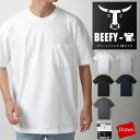 【1枚から使える20%OFFクーポン】【送料無料】HANES BEEFY-T ヘインズ ビーフィー メンズ 無地 Tシャツ ヘビーウエイト Tシャツ ポケット付...
