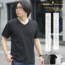 GW限定 15％OFFクーポン配布 さらにポイント3倍 テレコ Tシャツ 半袖 カットソー Vネック ランダムテレコ メンズ トップス インナー お洒落 カットソー 春夏 春服 夏服 Vネック カジュアル WEB-5 2024 春夏 新作