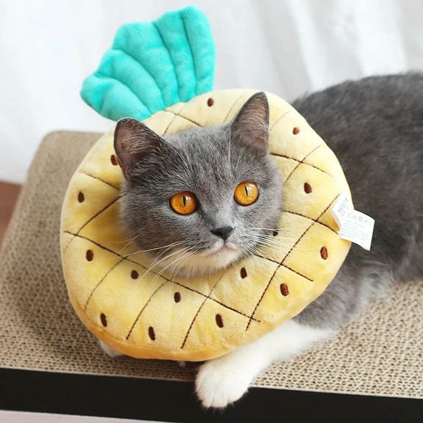 果物 エリザベスカラー ソフトエリザベスカラー 犬 猫 ペット 軽量 柔らかい やわ...