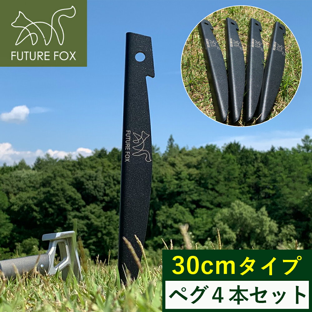 FUTURE FOX ペグ 鉄製 30cm 4本セット 軽量 【信州発アウトドアブランド】 送料無料