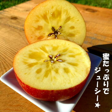 りんごジュース お試し リンゴ ジュース お歳暮 冬ギフト 保存 保存食 ストレート 無添加 アップルジュース 果汁100% おいしい 地元 幼児 フレッシュ パック 林檎 ringo 秋田県産 我が家のこだわり リンゴジュース 180g×20個セット 蜜入りりんご