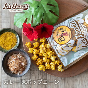 ポップコーン フレーバー カレー レイズハワイ スナック菓子 お菓子 ハワイ お土産 国産 高級 スナック おつまみ おかし スパイシー ピリ辛 大人 手土産 ギフト おしゃれ パーティー カリー ハワイアン ホノルル 酒 つまみ お菓子