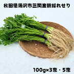 朝採れ 三関産 春 せり 300g 500g セリ 秋田 三関 芹 根 根つき 香草 野菜 七草 芹がゆ 三 関 取り寄せ せりなべ