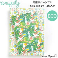 ラッピングペーパー 包装紙 ラッピング用品 ラッピリー Wrappily ハワイ デザインペーパー クラフト クラフト紙 ペーパー 紙 ハワイアン雑貨 エコ 再生紙 両面 リバーシブル アート プレゼント ギフト 海外 かわいい おしゃれ ボタニカル ハト ウサギ ブックカバー
