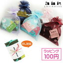 エンビロサックス専用 【100円巾着ラッピング】※ラッピングのみの注文はできません※ エコバッグ 巾着 ラッピング ギフト ホワイトデー バレンタインデー クリスマスプレゼント 母の日 誕生日 プレゼント お礼 記念品