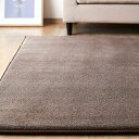 アイリスオーヤマ カーペット ラグ クッションラグ 厚さ3 極厚 もっちり 185×185cm 滑り止め付き ホットカーペット対応 2畳 はっ水加工 遮音効果 低ホルム もちもち 北欧 おしゃれ マット ACRB-1818 ブラウン