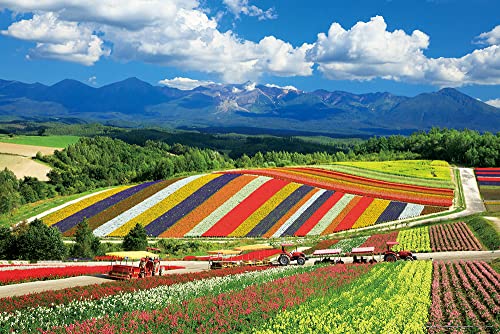 1000ピース ジグソーパズル 四季彩の丘と十勝岳連峰(北海道) (50x75cm) 10-1422