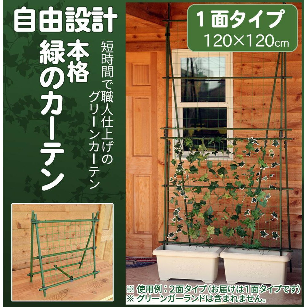 自由設計 本格 緑のカーテン グリーンカーテンキット