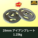 Φ 29ミリ 3グリップ アイアン プレート1.25キロ × 8枚セット計10キロ 筋トレ 筋肉 ダンベル ベンチプレス 大胸筋 エクササイズ プレート バーベ...