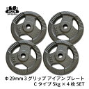 Φ 29mm 3グリップ アイアン プレート Cタイプ 5kg × 4枚 セット 筋トレ 筋肉 ダンベル ベンチプレス 大胸筋 エクササイズ プレート バーベル...