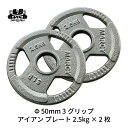 Φ 50mm 3グリップ アイアン プレート 2.5kg × 2枚 セット 筋トレ 筋肉 ダンベル ベンチプレス 大胸筋 エクササイズ プレート バーベル ウエ...