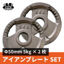 Φ 50mm 3グリップ アイアン プレート 5kg × 2枚セット 筋トレ 筋肉 ダンベル ベンチプレス 大胸筋 エクササイズ プレート バーベル ウエイトトレーニング 鉄アレイ トレーニングジム 上腕筋 筋力 ダンベルプレート バーベルプレート イージーグリップ