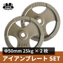 Φ50mm 3グリップ アイアンプレート 25kg×2枚セット 筋トレ 筋肉 ダンベル ベンチプレス 大胸筋 エクササイズ プレート バーベル ウエイトトレーニング 鉄アレイ トレーニングジム 上腕筋 筋力 ダンベルプレート バーベルプレート イージーグリップ