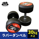 ラバー ダンベル 30kg × 2個 セット バーベル メンズ レディース 鉄アレイ 筋トレ 筋肉 グッズ ジム 自宅 ウェイト トレーニング