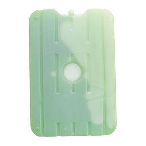 Whole Earth ICE KEEP BLOCK -16℃ 800g 保冷剤 WE27DI10 (メンズ、レディース)通販格安セール情報 楽天 通販