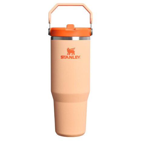 スタンレー（STANLEY） 水筒 ボトル マグ アイスフロー フリップストロー2.0 真空...