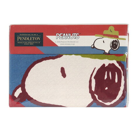 ペンドルトン（PENDLETON） PEANUTS クッションカバー 45×45cm 19806162095000