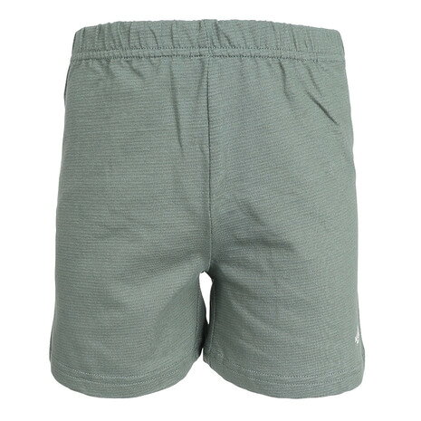 ザ・ノース・フェイス（THE NORTH FACE）（キッズ）ジュニア ショートパンツ ショーツ T Little Breeze ショート NBT42555 DG