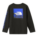ザ・ノース・フェイス(THE NORTH FACE)(キッズ)ジュニア ロングスリーブ スリーブグラフィック 長袖Tシャツ NTJ32537 K(4)