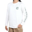 ザ・ノース・フェイス(THE NORTH FACE)(キッズ)ジュニア ロングスリーブ スリーブグラフィック 長袖Tシャツ NTJ32537 W(4)
