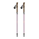 シナノ(SINANO)(メンズ)トレッキングポール フォールダー TWIST 115 BD ストック 登山