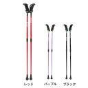 キザキ(KIZAKI)(メンズ、レディース)ウォーキングポール 歩ミング 2段伸縮 APBC-202A