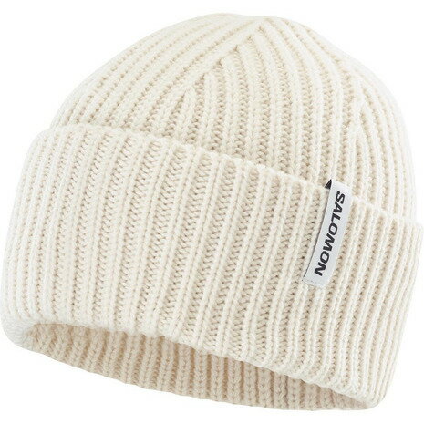  サロモン（SALOMON）（メンズ、レディース）ニット帽 トレッキング 登山 SNOWBIRD ビーニー LC2629600