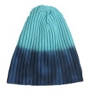 アミナ(amina)(メンズ、レディース)ヴィディキャップ NWWP3304 BL NAVY