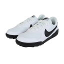 ナイキ(NIKE)(レディース)スニーカー スポーツシューズ テラモンタ HQ1940-100