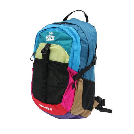 チャムススプリングデール25デイパ...