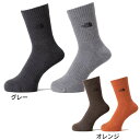 ザ・ノース・フェイス(THE NORTH FACE)(メンズ、レディース)TNF ロゴ 2足組 クルーソックス NN82310