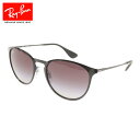レイバン(RAY-BAN)(メンズ)サングラス ERIKA METAL...(4)