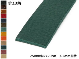 アリゾナレース 全13色 25mm巾×120cm 1.7mm前後 1本[レザークラフトぱれっと] レザークラフト革ひも レース ヌメ革レース