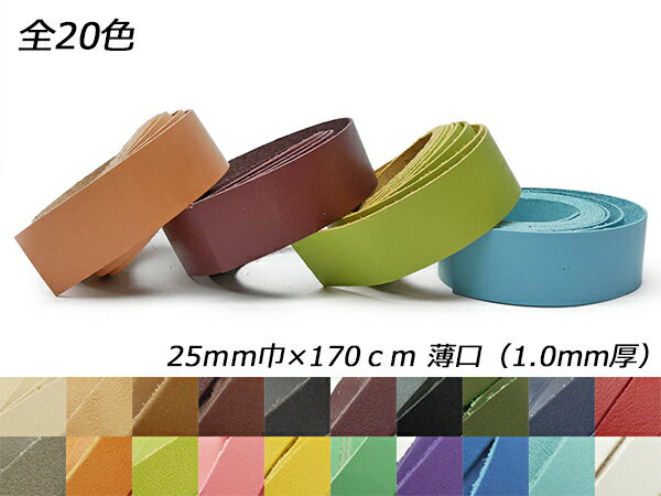 ドエリアレース 薄口 全20色 25mm巾×170cm 1.0mm厚 1本[レザークラフトぱれっと] レザークラフト革ひも レース ヌメ革レース