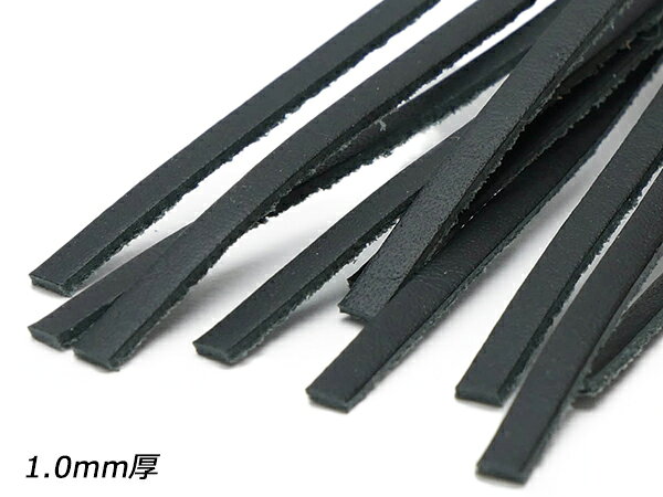 【10本パック】クラシックレース マットブラック 3mm×170cm 1.0mm厚/2.0mm厚 10本...