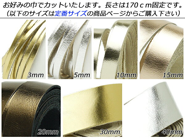 ��ߥʡ��ȥ졼�� �ե꡼������ ��5�� �����ߤζҡ�170cm 1.0mm���� 1��[�쥶������եȤѤ�ä�] [������ư��] �쥶������եȳפҤ� �졼�� ��ߥʡ��ȥ졼��