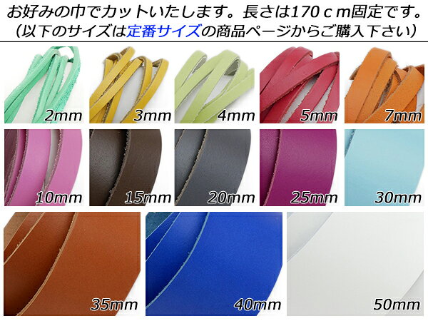�����å���졼�� �ե꡼������ ��20�� �����ߤζҡ�180cm 1.5mm���� 1��[�쥶������եȤѤ�ä�] [������ư��] �쥶������եȳפҤ� �졼�� ��������ץ졼��