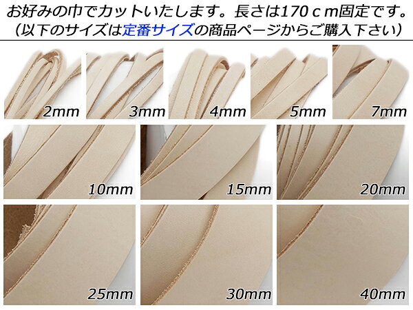 ���̥�ECO�졼�� �ե꡼������ ̵�� �����ߤζҡ�170cm 1.4mm�� 1��[�쥶������եȤѤ�ä�] [������ư��] �쥶������եȳפҤ� �졼�� �̥�ץ졼��