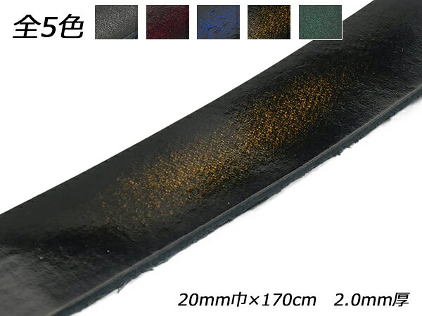 アドバンレース 全5色 20mm巾×170cm 2.0mm厚 1本【メール便選択可】 [レザークラフトぱれっと] レザークラフト革ひも レース クローム革レース
