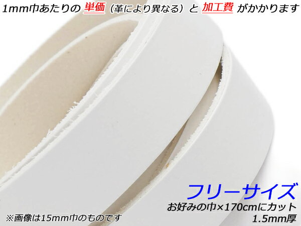ۥ磻ȥࡼ졼ʤᤷ ե꡼  ߤζҡ170cm 1.5mm 1[쥶եȤѤä] [ư] 쥶եȳפҤ 졼 ̥ץ졼