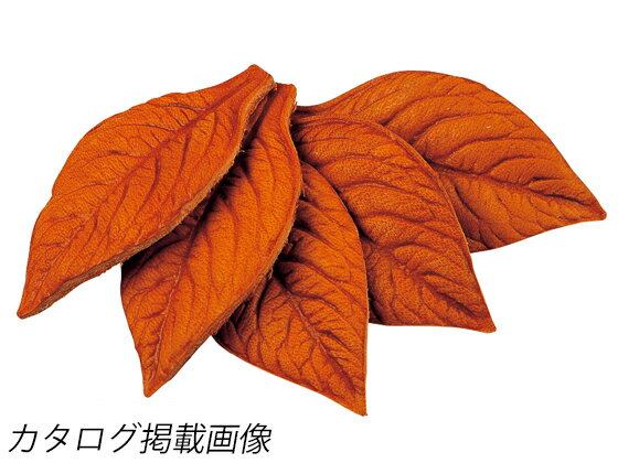 ラティーゴリーフ 小 6.4cm 5枚【メール便選択可】 [クラフト社] レザークラフト皮革キット アクセサリー