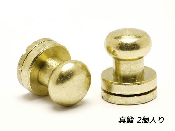 ネジ式真鍮ギボシ 真鍮無垢 頭径φ10mm 2ヶ【メール便選択可】 [クラフト社] レザークラフト金具 ギボシ