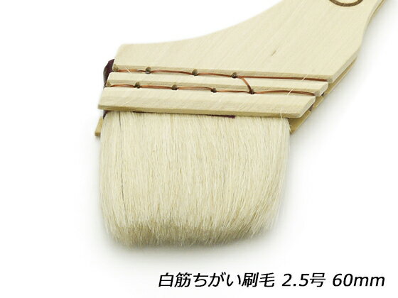 ڤ 2.5 60mmڥ᡼ġ [ʥ] 쥶եȹ ɮ Ѷ